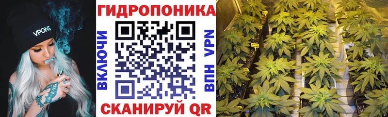 Купить закладку Гашиш  Альфа ПВП  Меф мяу мяу  Кокаин  Валдай