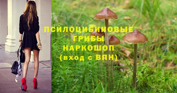 спиды Кинешма